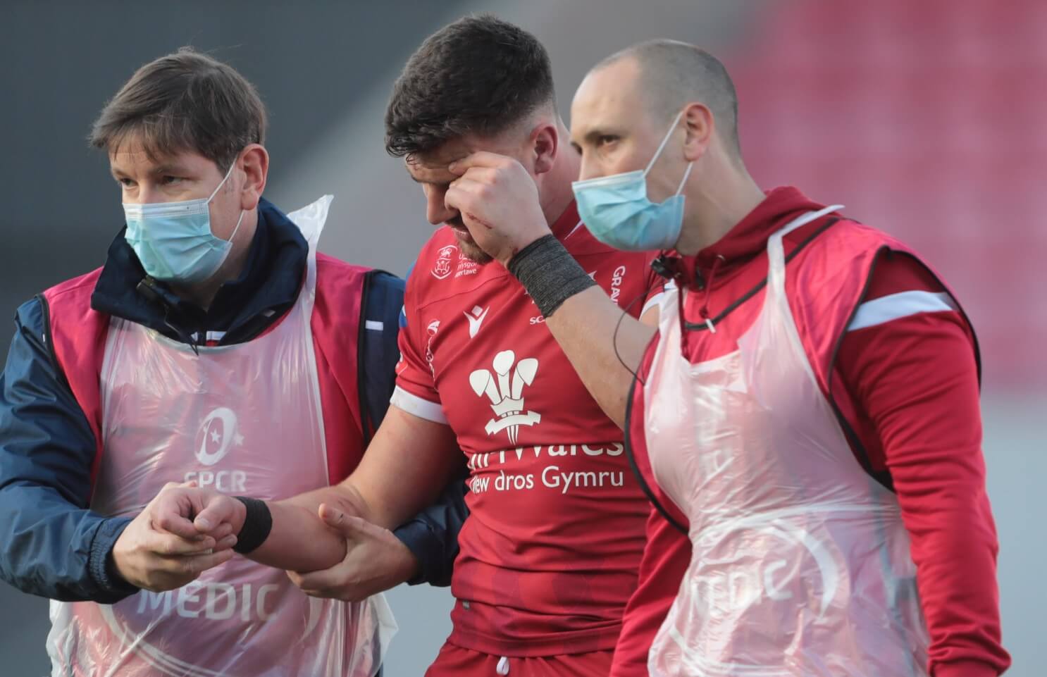 Johnny Williams Ruled Out For Rest Of The Season - Scarlets Rugby