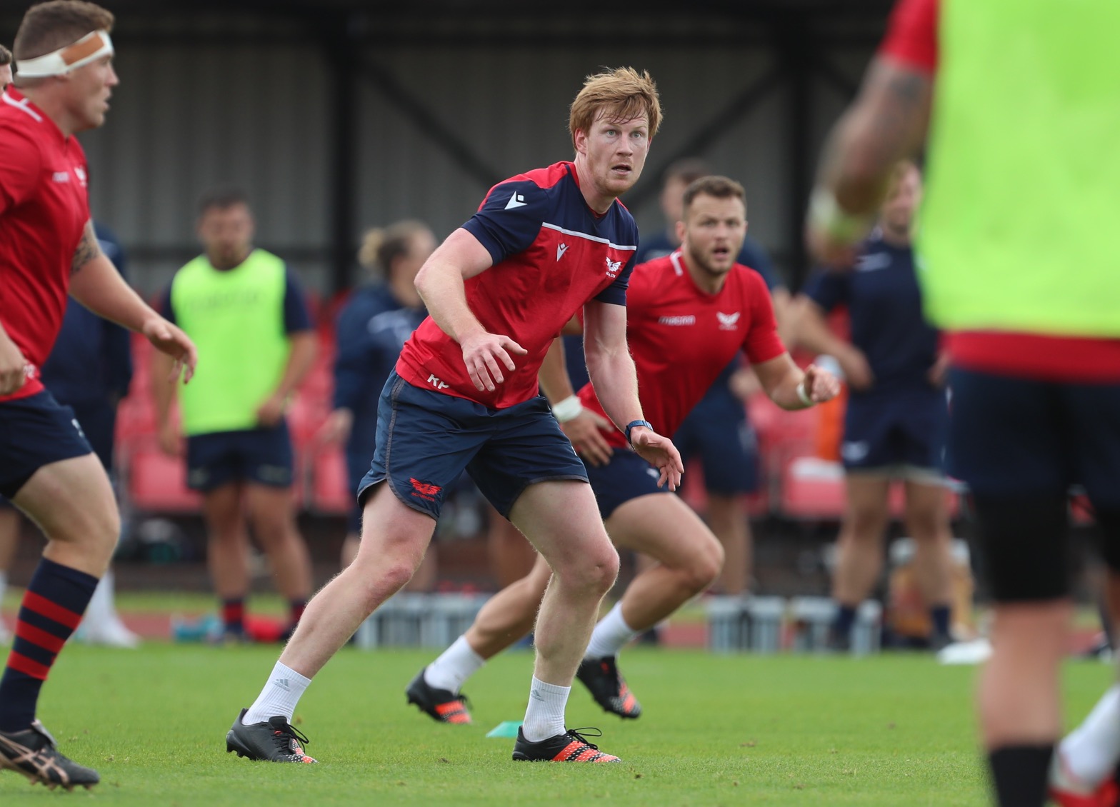 Rhys Patchell to make comeback for Development side - Scarlets Rugby