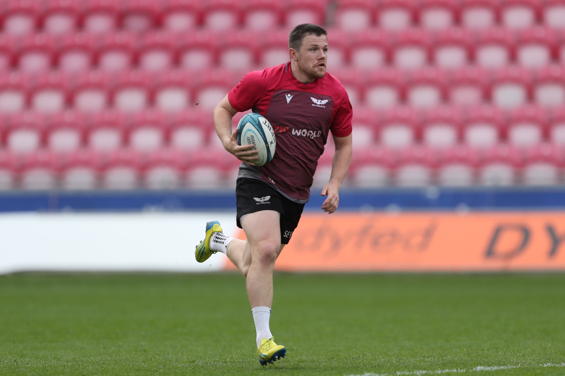 Steff Evans to make 150th Scarlets appearance - Scarlets Rugby