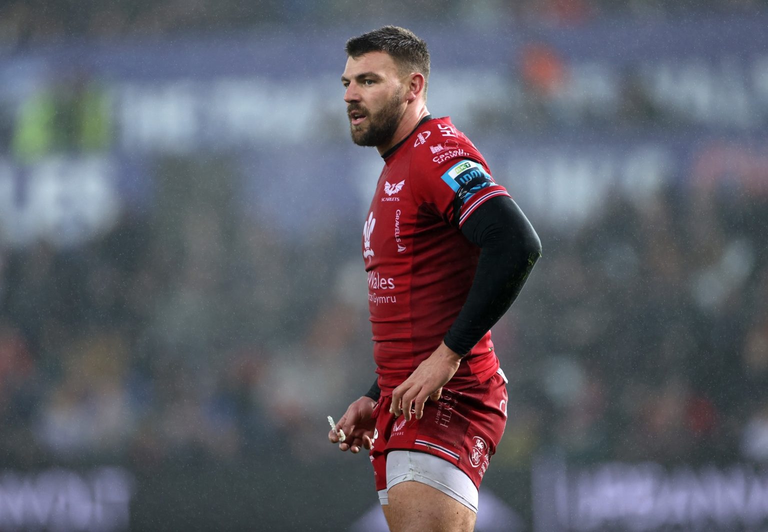 Johnny Williams Disciplinary Decision - Scarlets Rugby