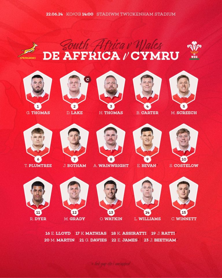 Six Scarlets Named In Wales Squad To Face Springboks - Scarlets Rugby