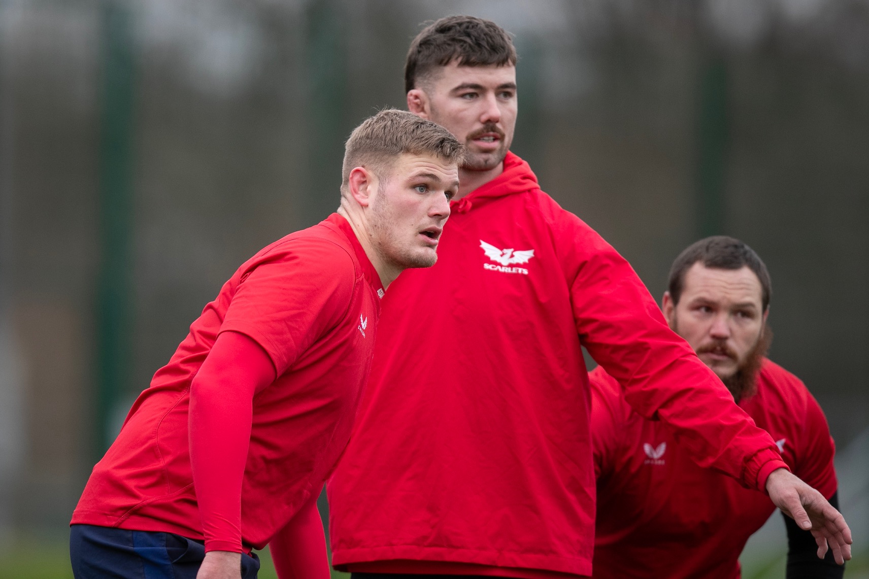 Scarlets include Six Nations quartet for Thomond clash Scarlets Rugby